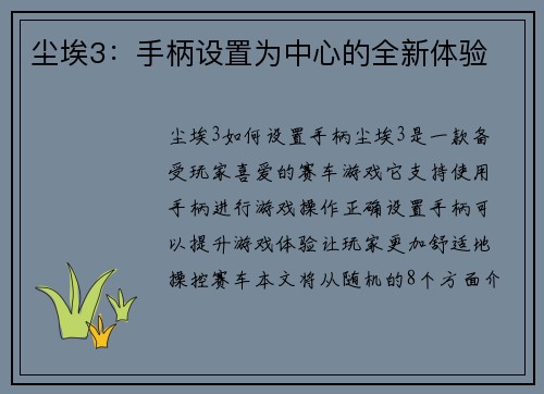 尘埃3：手柄设置为中心的全新体验